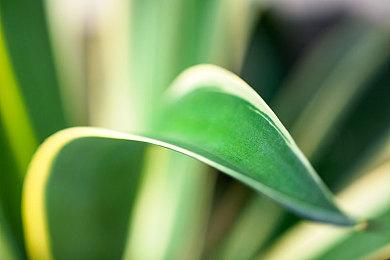 《卧龙：苍天陨落》IGN 8分 战斗最好的魂类游戏